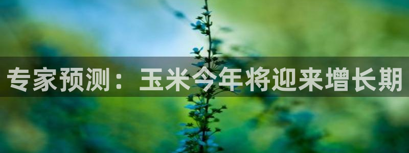 彩神88
