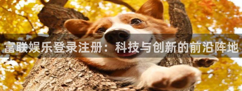 app彩神