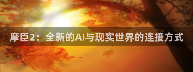 彩神viii官网