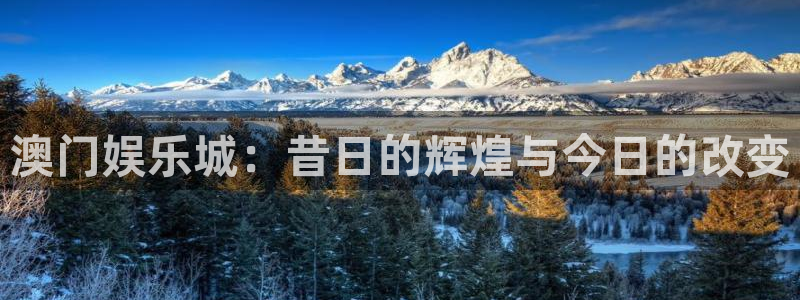 彩神ii官网