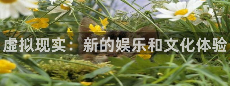 彩神喷墨：虚拟现实：新的娱乐和文化体验