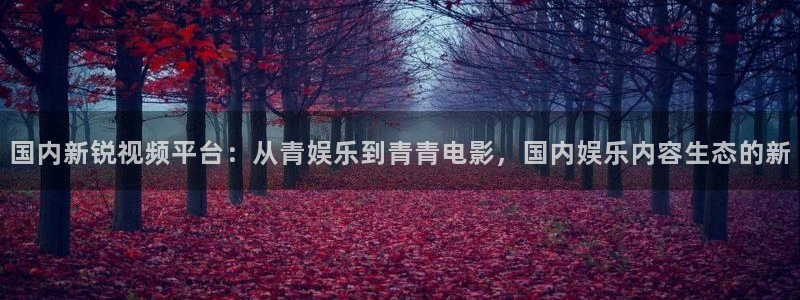 彩神v购彩：国内新锐视频平台：从青娱乐到青青电影，国内娱乐内容生态的新