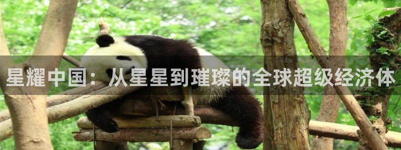 拼搏在线彩神网：星耀中国：从星星到璀璨的全球超级经济体