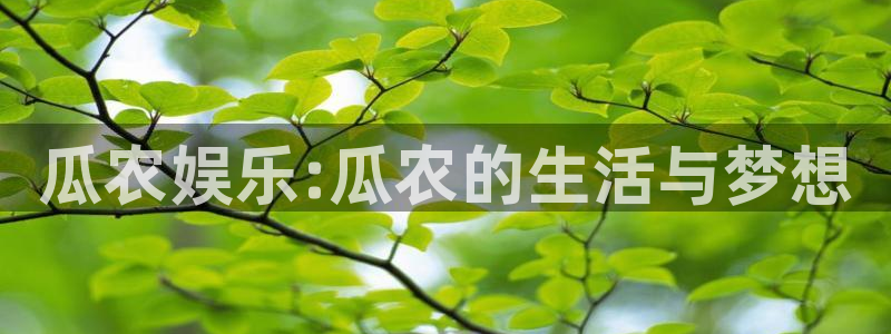 彩神iv：瓜农娱乐:瓜农的生活与梦想