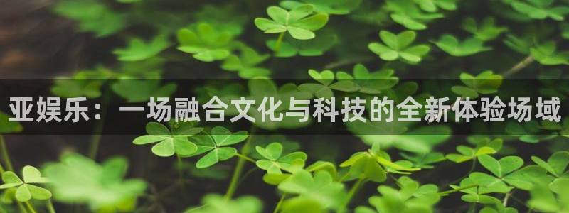 彩神1：亚娱乐：一场融合文化与科技的全新体验场域