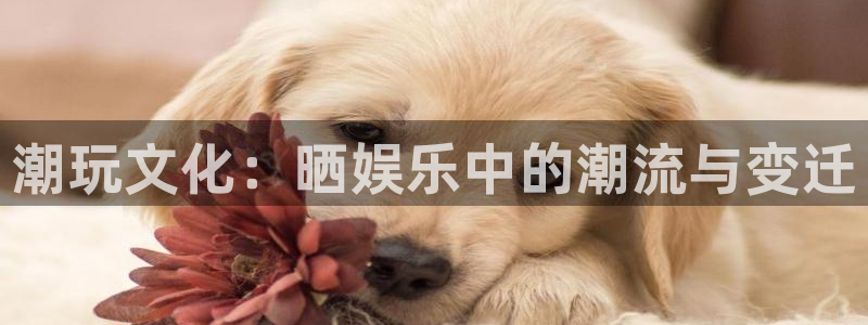 彩神首页下载：潮玩文化：晒娱乐中的潮流与变迁