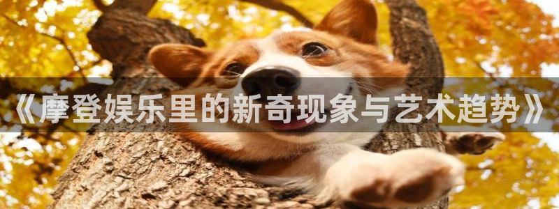 彩神66：《摩登娱乐里的新奇现象与艺术趋势》