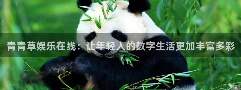 彩神lll：青青草娱乐在线：让年轻人的数字生活更加丰富多彩