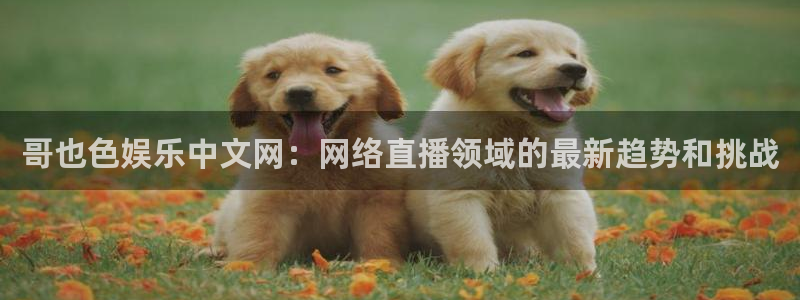 彩神v：哥也色娱乐中文网：网络直播领域的最新趋势和挑战