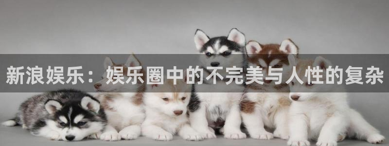 天天乐彩神：新浪娱乐：娱乐圈中的不完美与人性的复杂