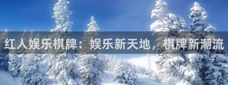 彩神试机号