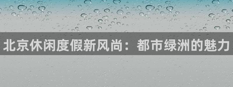 彩神网