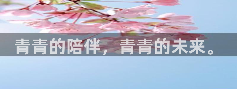 彩神2下载：青青的陪伴，青青的未来。