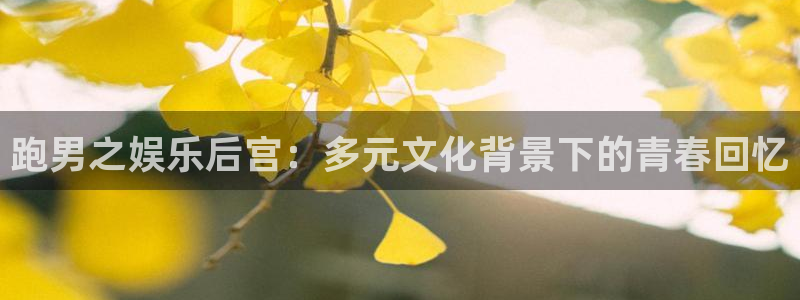 彩神帝：跑男之娱乐后宫：多元文化背景下的青春回忆