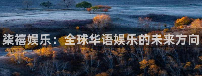 彩神官网：柒禧娱乐：全球华语娱乐的未来方向