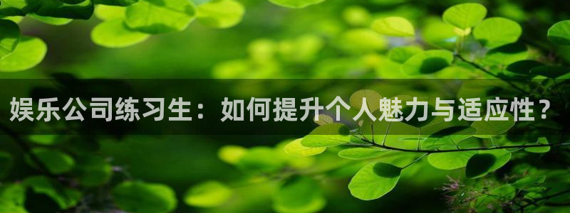 彩神(中国)有限公司：娱乐公司练习生：如何提升个人魅力与适应性？