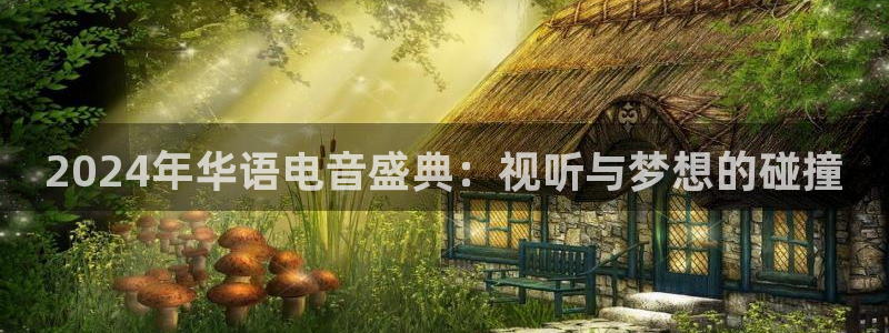 大发快彩神：2024年华语电音盛典：视听与梦想的碰撞