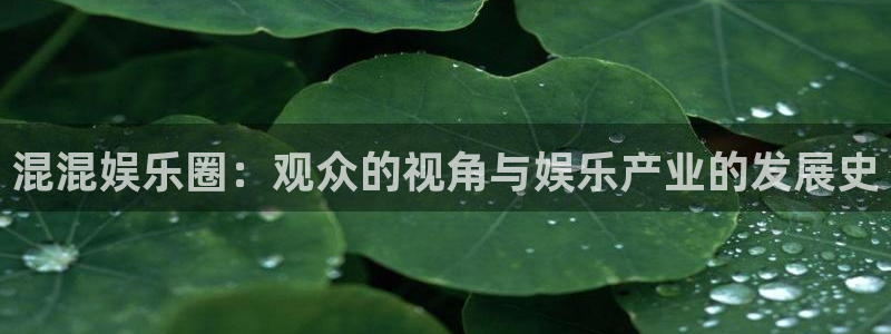 彩神官网：混混娱乐圈：观众的视角与娱乐产业的发展史