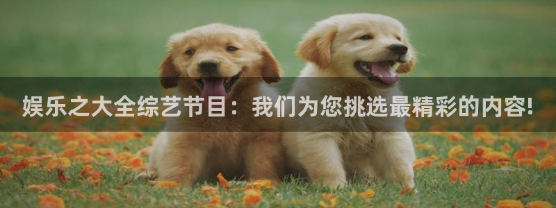大发彩神：娱乐之大全综艺节目：我们为您挑选最精彩的内容!