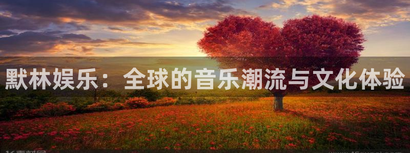 神彩神 ii：默林娱乐：全球的音乐潮流与文化体验