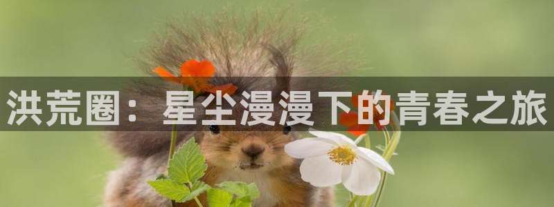 全民彩神独胆：洪荒圈：星尘漫漫下的青春之旅